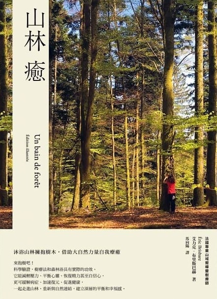 山林癒 :沐浴山林擁抱樹木，借助大自然力量自我療癒 